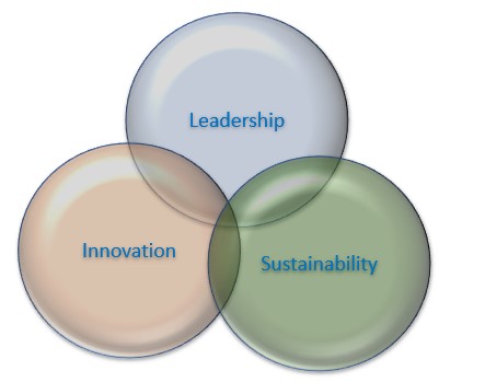 Figure 4 Leadership Innovation Sustainability Interrelationship